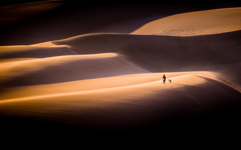 Sand Dune Pals