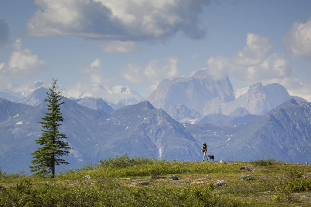 Hiking Curry Ridge in Denali State Park Alaska - Outdoor Advneture Photography by Toby Harriman - 2